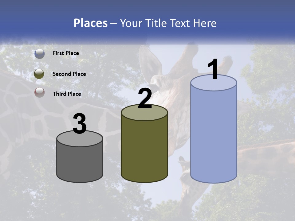 Reticulata Hungary Heads PowerPoint Template