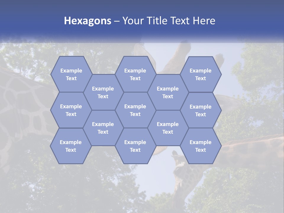 Reticulata Hungary Heads PowerPoint Template