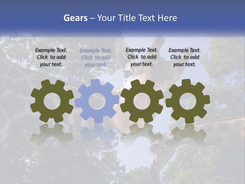 Reticulata Hungary Heads PowerPoint Template