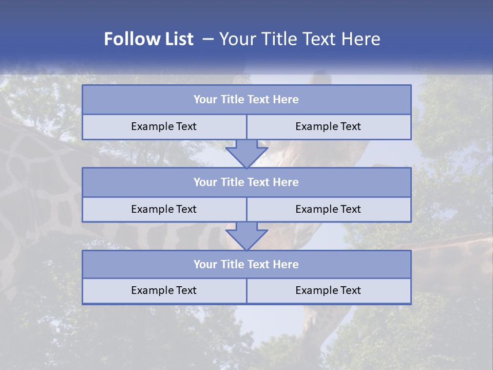 Reticulata Hungary Heads PowerPoint Template