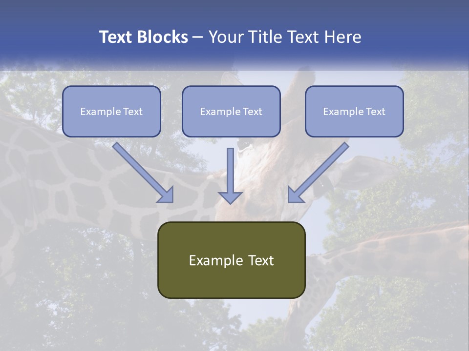 Reticulata Hungary Heads PowerPoint Template