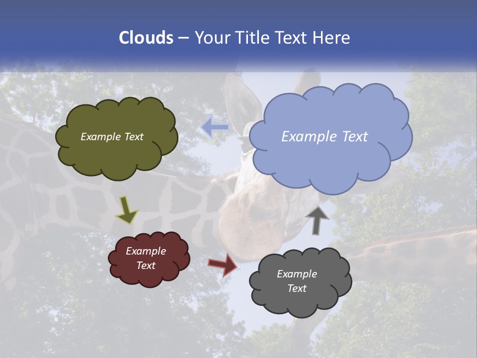 Reticulata Hungary Heads PowerPoint Template