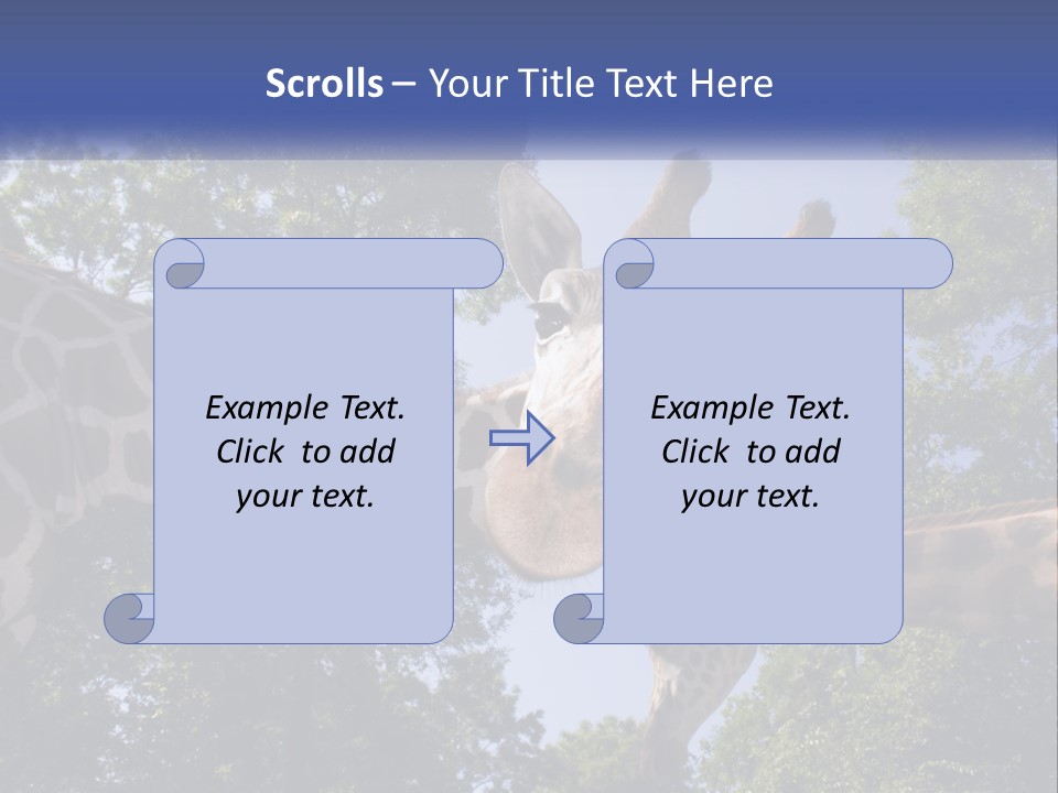 Reticulata Hungary Heads PowerPoint Template