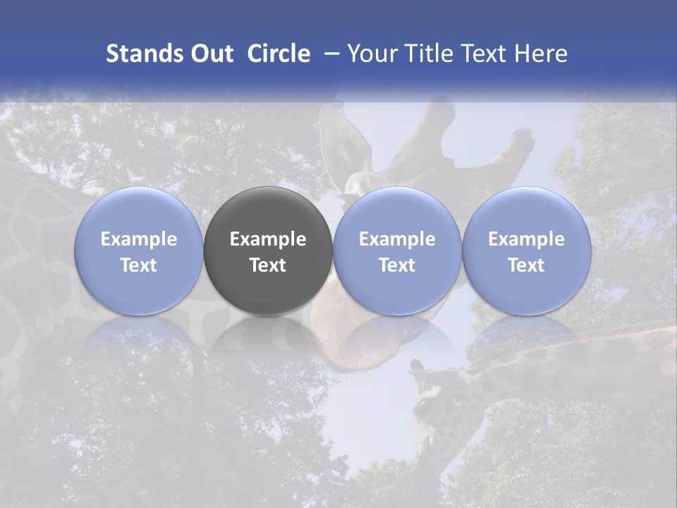 Reticulata Hungary Heads PowerPoint Template