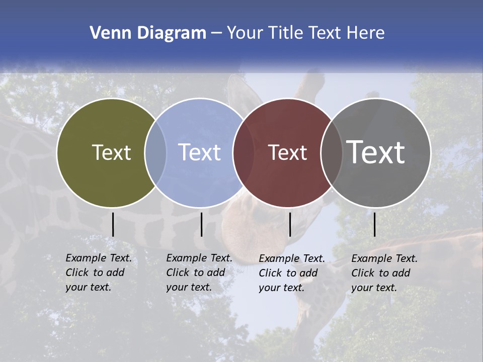Reticulata Hungary Heads PowerPoint Template