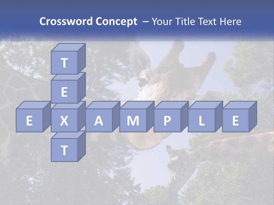 Reticulata Hungary Heads PowerPoint Template