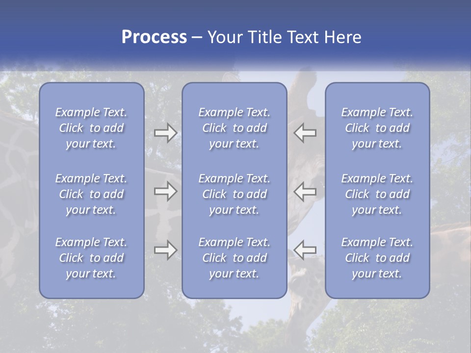 Reticulata Hungary Heads PowerPoint Template
