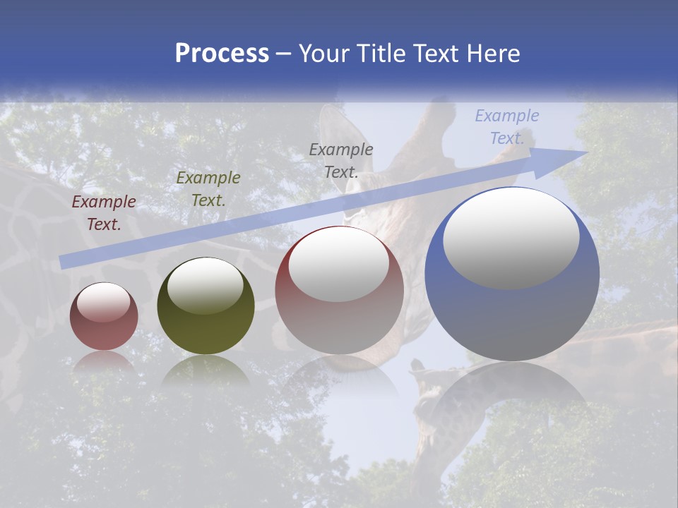 Reticulata Hungary Heads PowerPoint Template