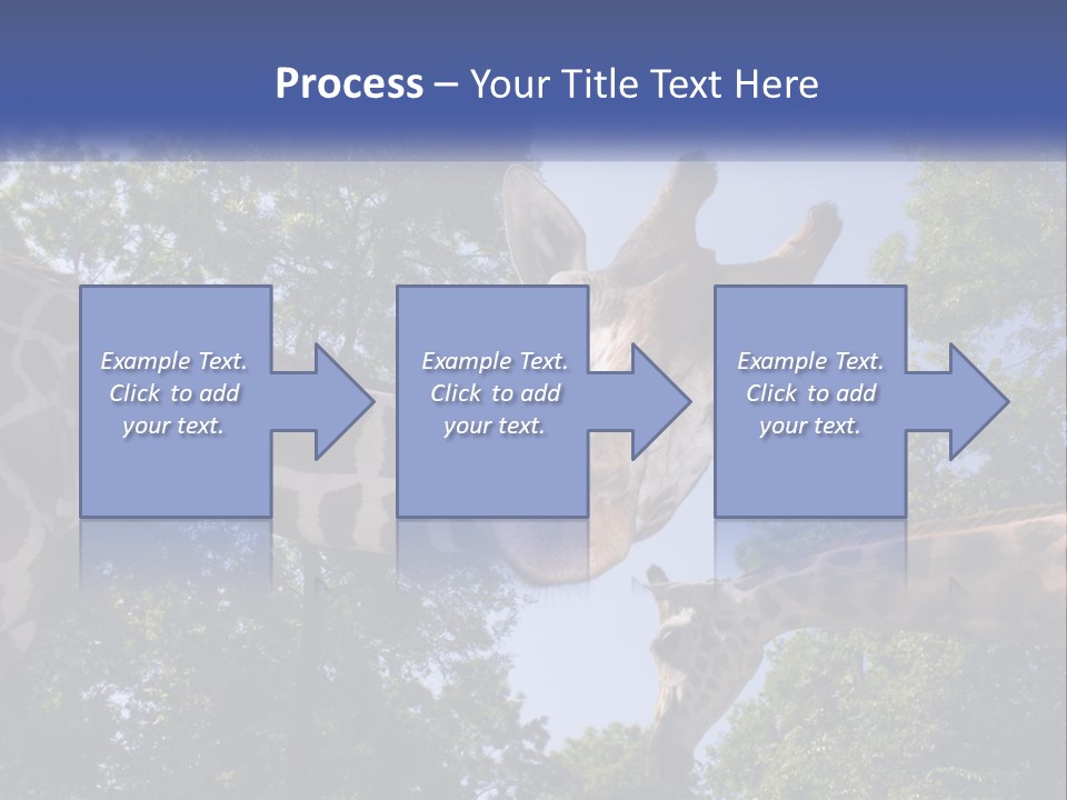 Reticulata Hungary Heads PowerPoint Template