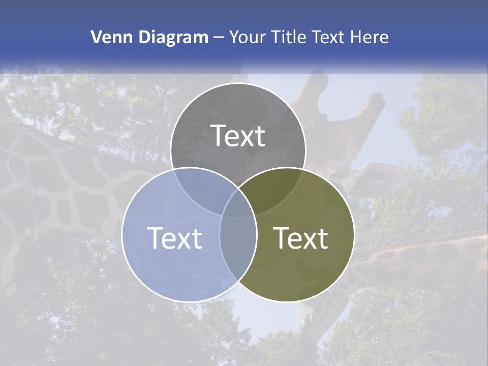 Reticulata Hungary Heads PowerPoint Template