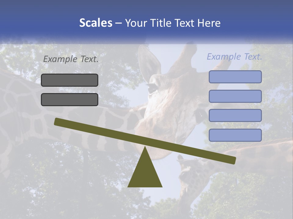 Reticulata Hungary Heads PowerPoint Template