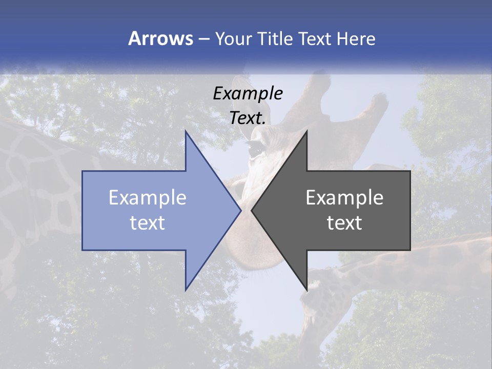 Reticulata Hungary Heads PowerPoint Template