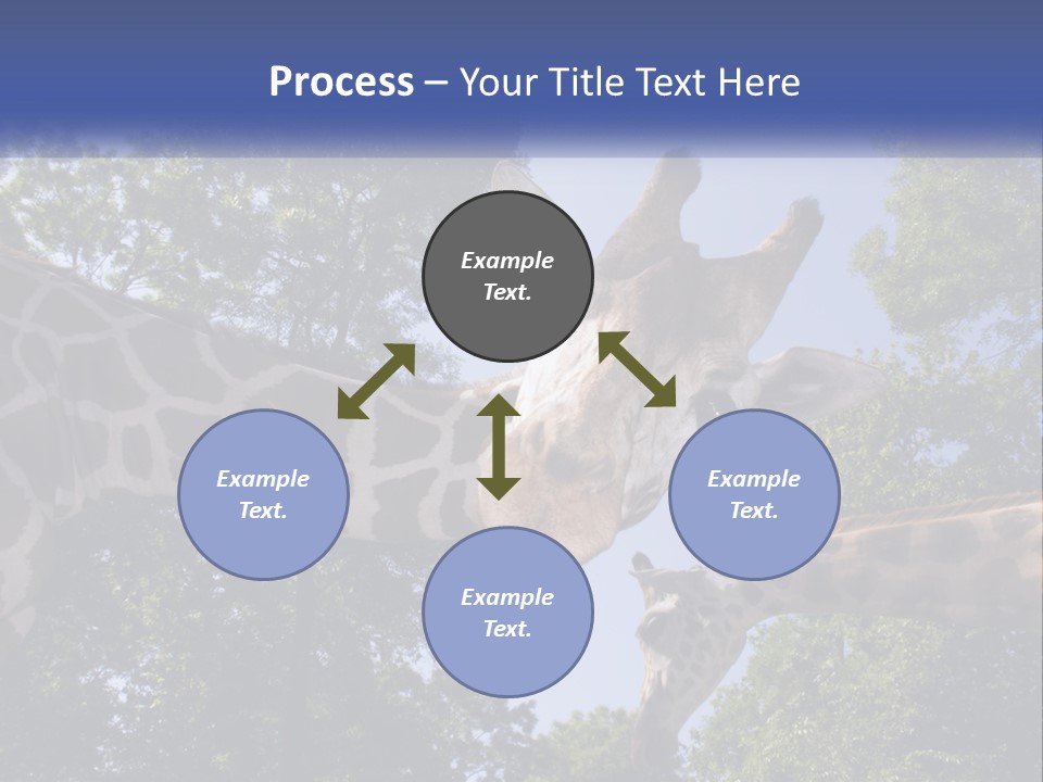 Reticulata Hungary Heads PowerPoint Template