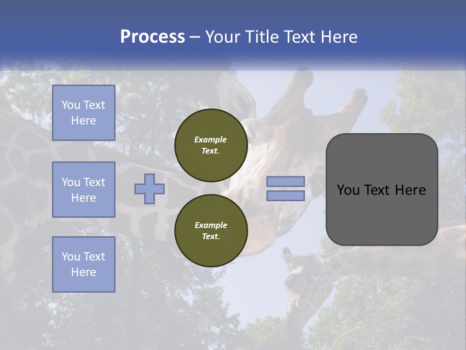 Reticulata Hungary Heads PowerPoint Template