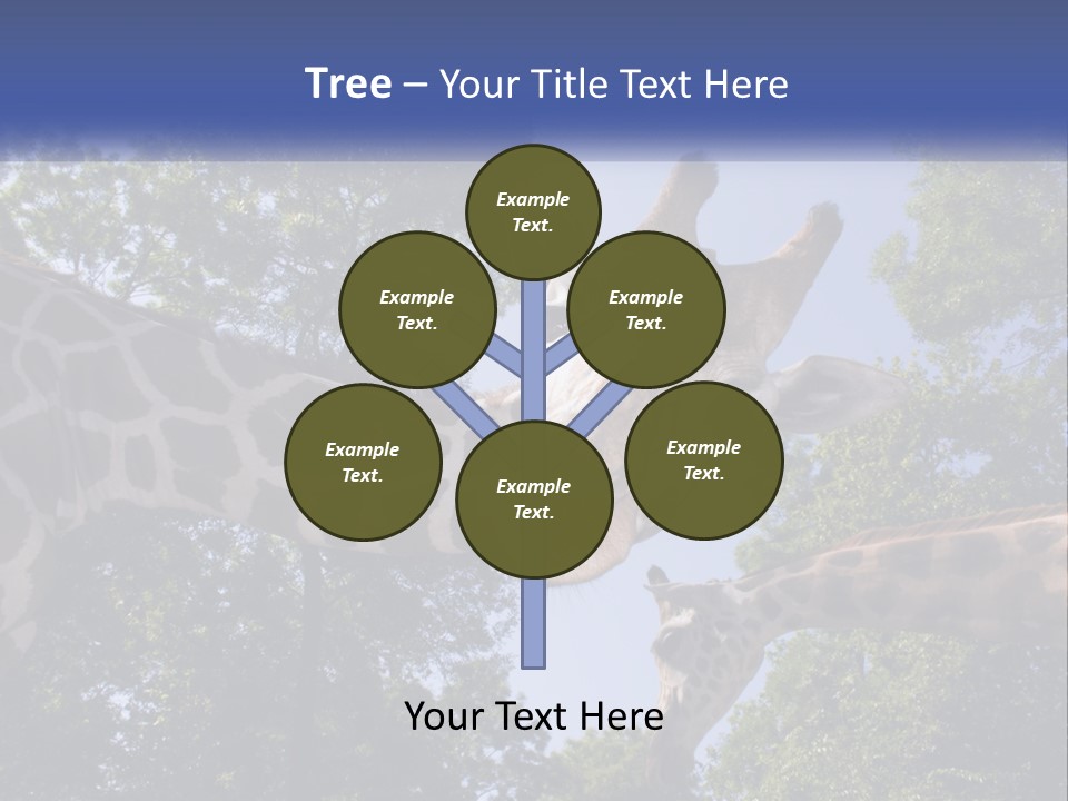 Reticulata Hungary Heads PowerPoint Template