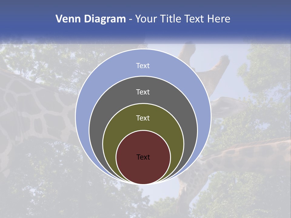 Reticulata Hungary Heads PowerPoint Template