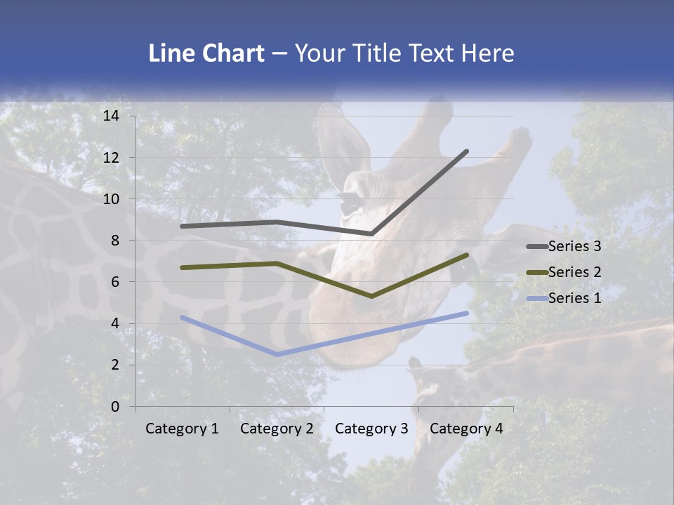 Reticulata Hungary Heads PowerPoint Template