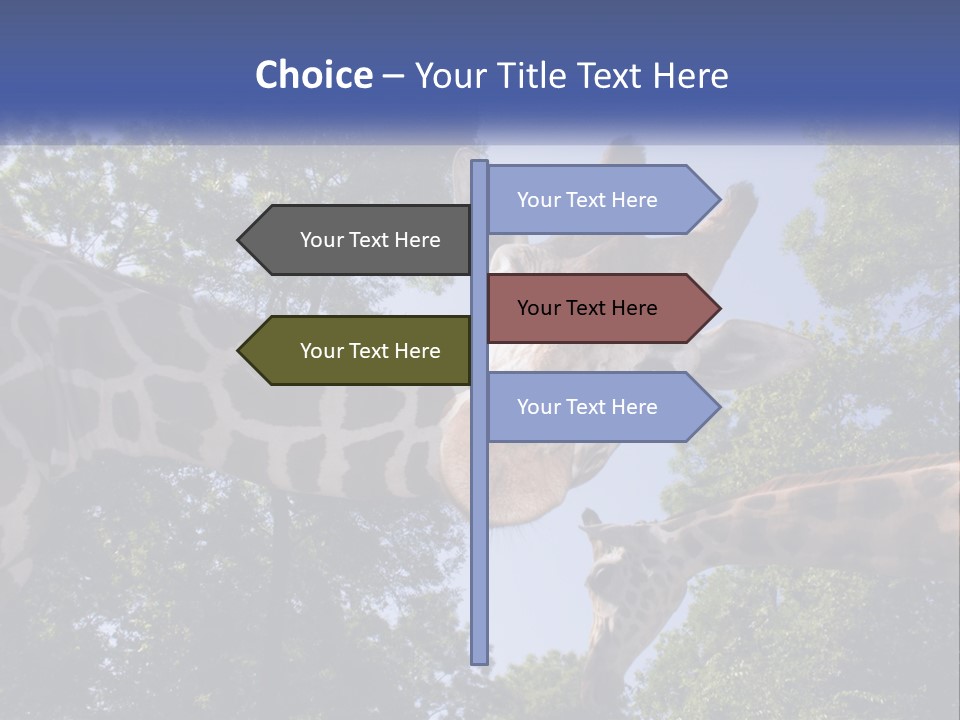 Reticulata Hungary Heads PowerPoint Template