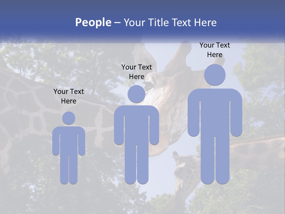 Reticulata Hungary Heads PowerPoint Template