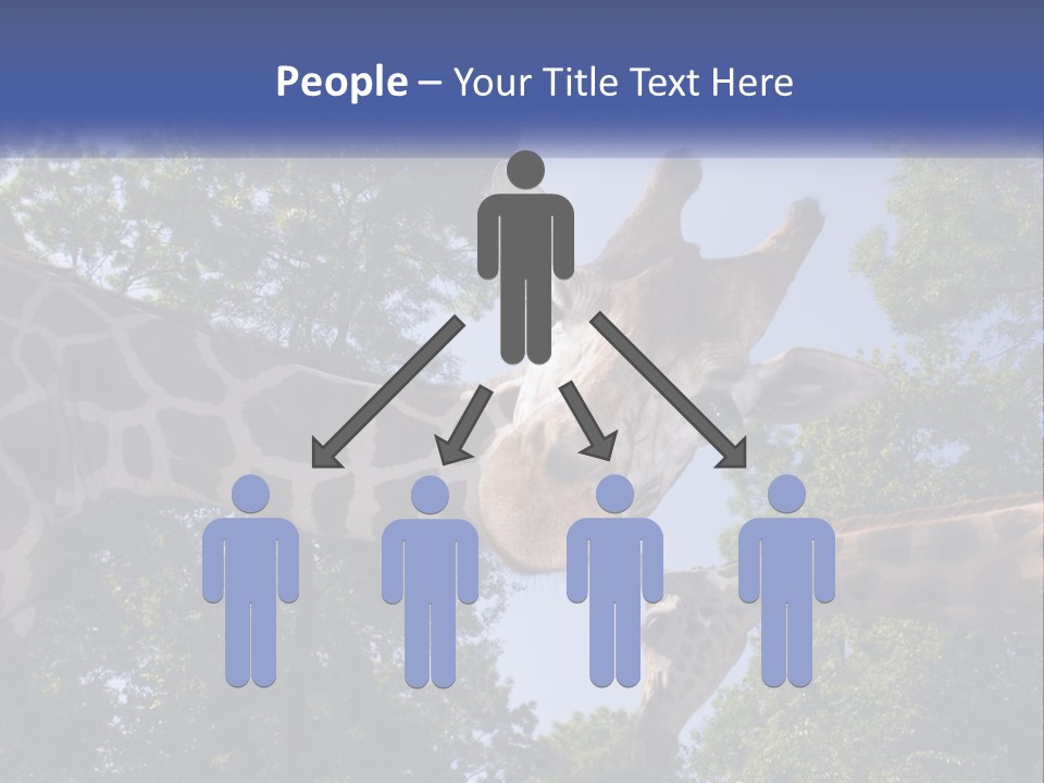 Reticulata Hungary Heads PowerPoint Template