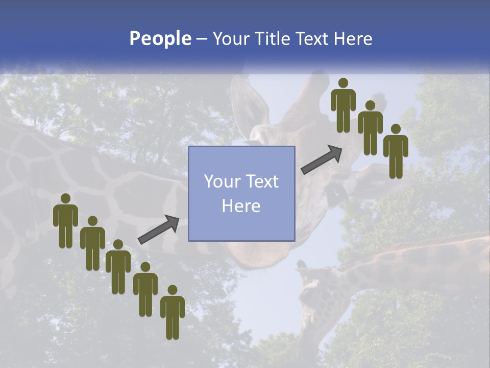 Reticulata Hungary Heads PowerPoint Template