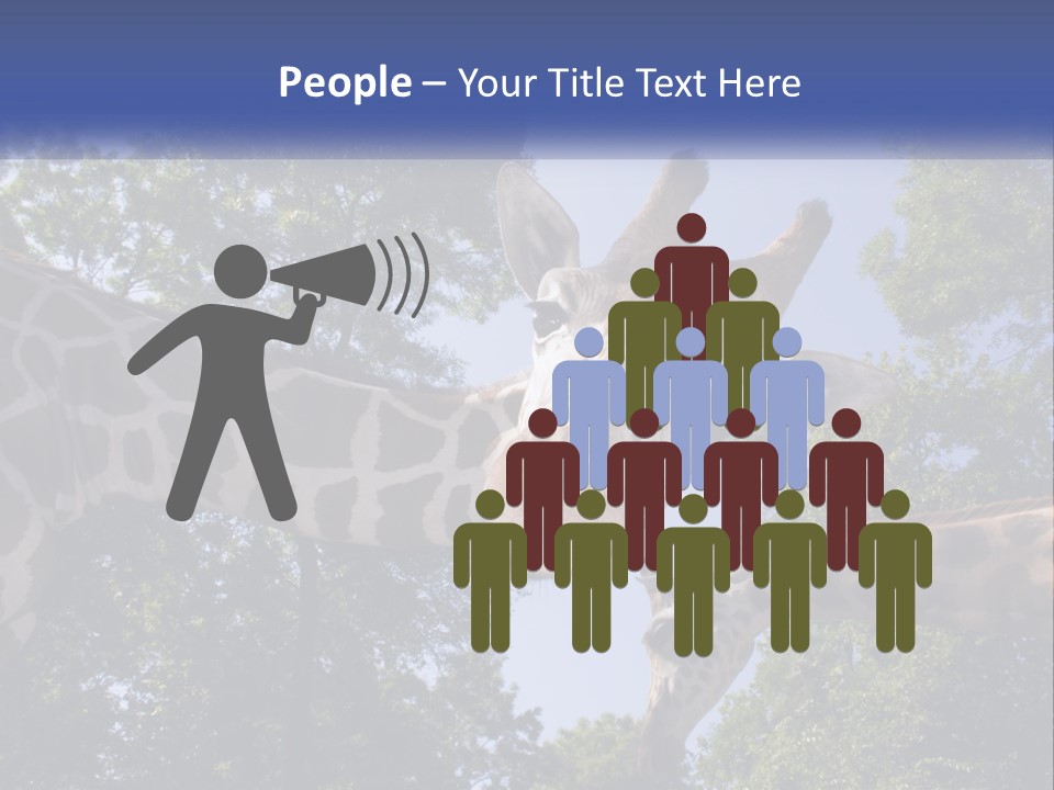 Reticulata Hungary Heads PowerPoint Template