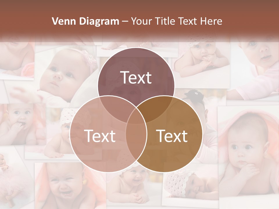 House Made Construct PowerPoint Template