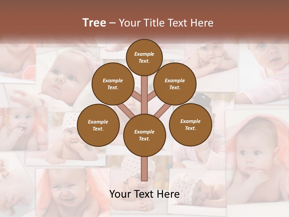 House Made Construct PowerPoint Template