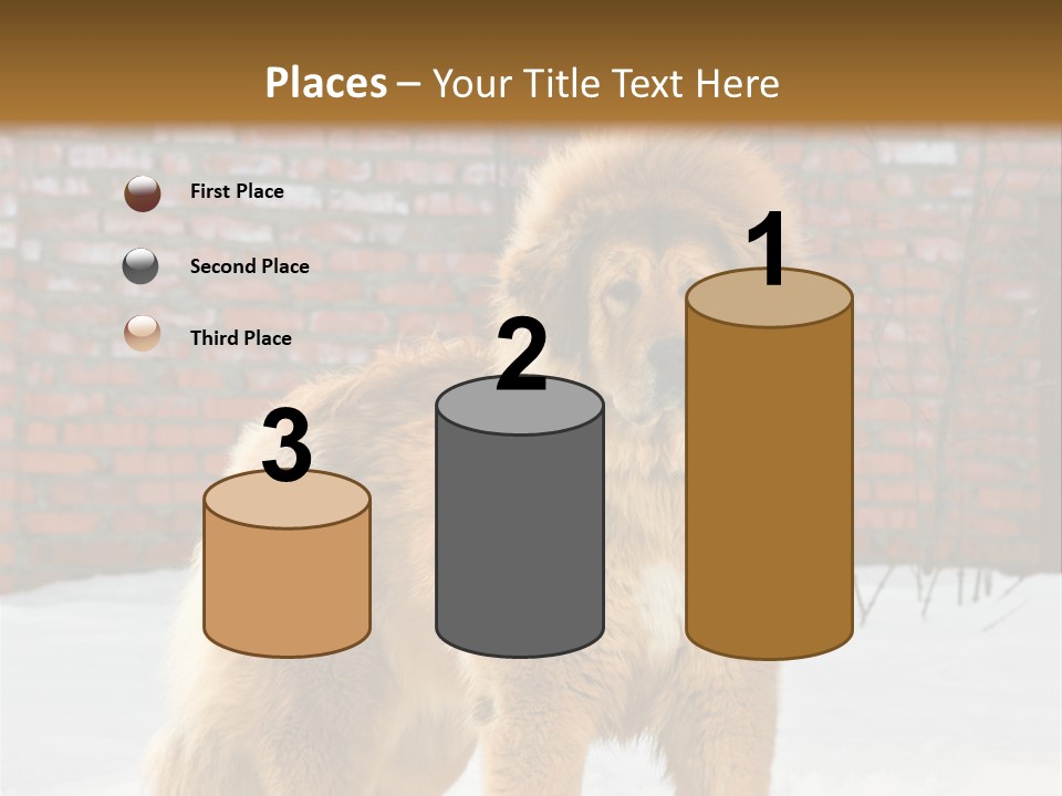 Agent Construction Construct PowerPoint Template