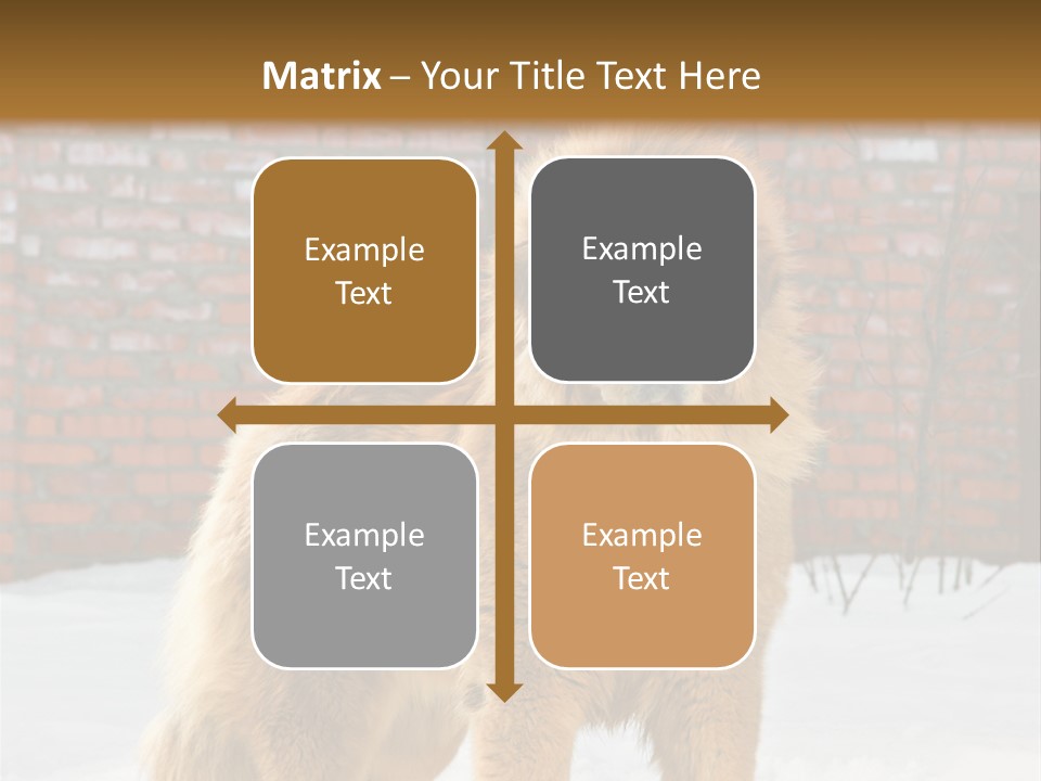 Agent Construction Construct PowerPoint Template