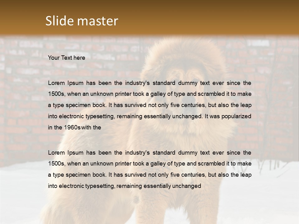 Agent Construction Construct PowerPoint Template