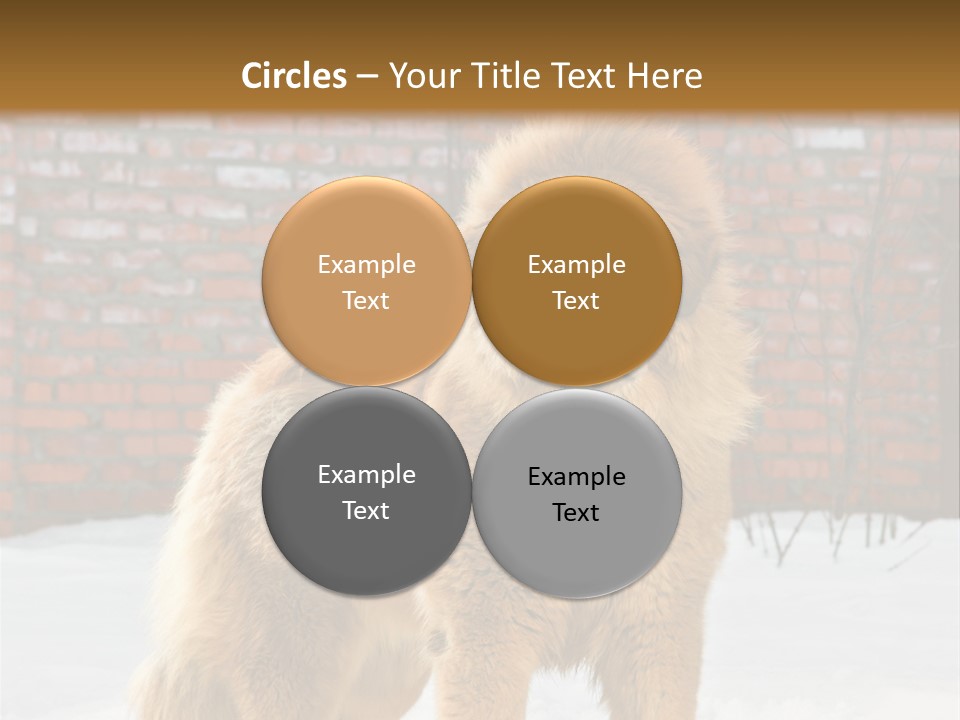 Agent Construction Construct PowerPoint Template