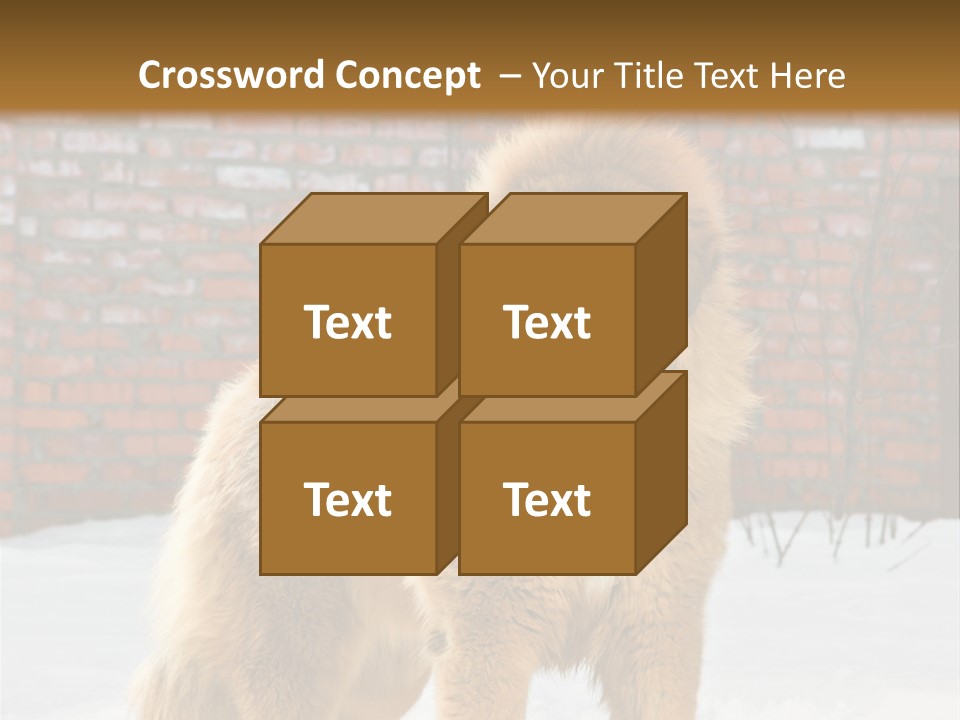 Agent Construction Construct PowerPoint Template