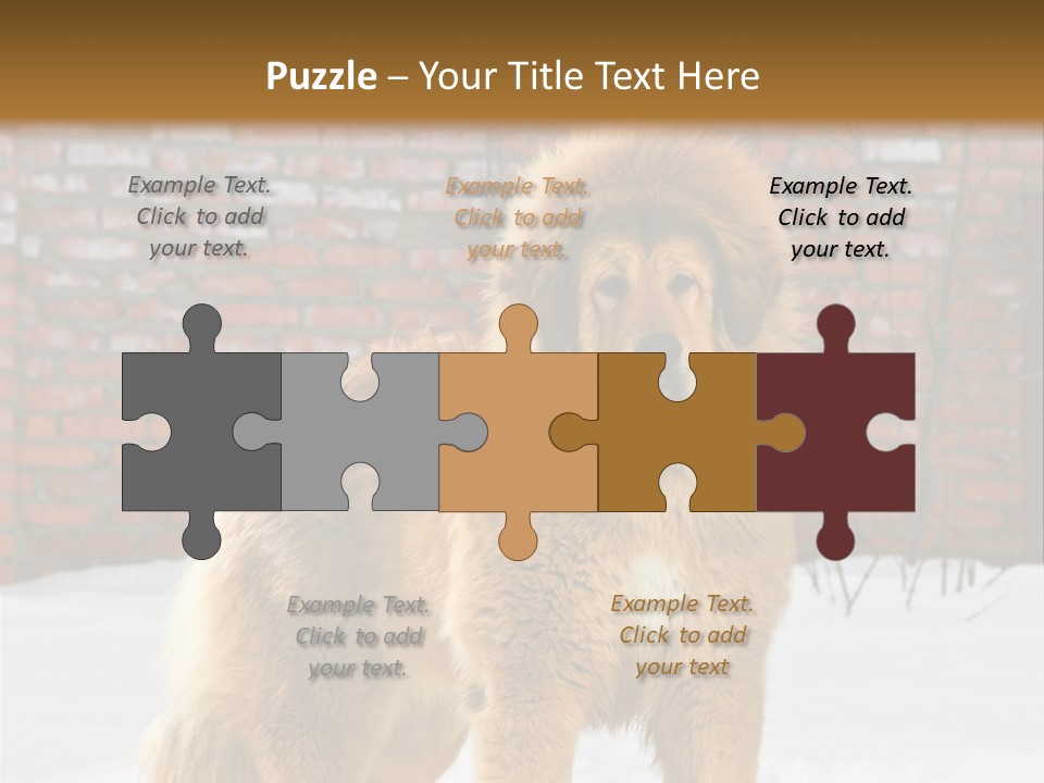Agent Construction Construct PowerPoint Template
