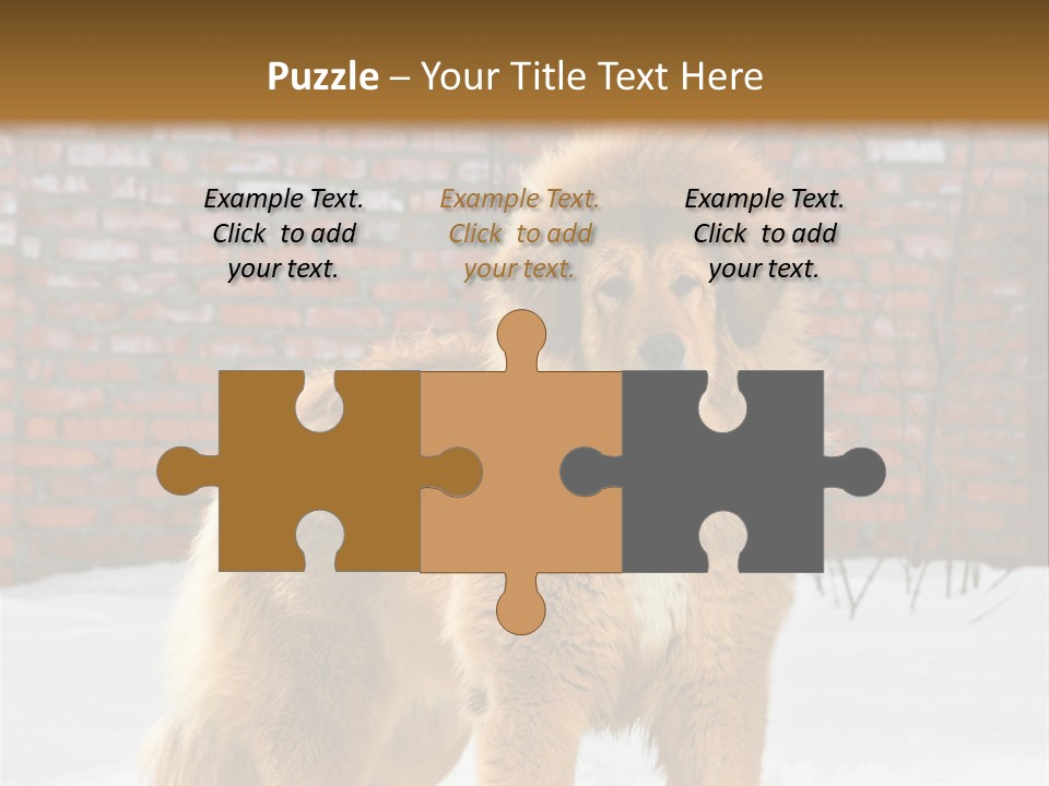Agent Construction Construct PowerPoint Template