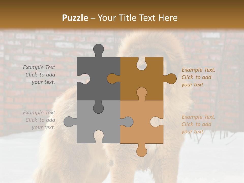 Agent Construction Construct PowerPoint Template
