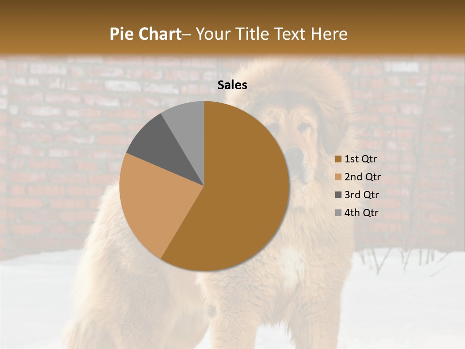 Agent Construction Construct PowerPoint Template
