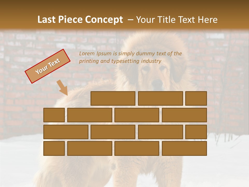 Agent Construction Construct PowerPoint Template