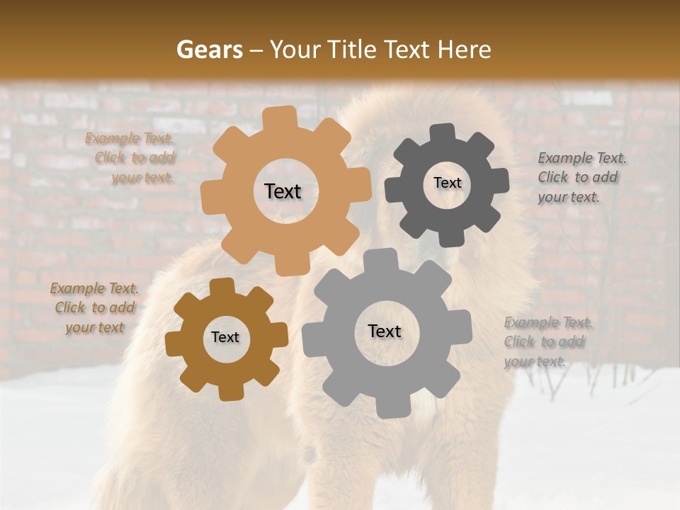 Agent Construction Construct PowerPoint Template