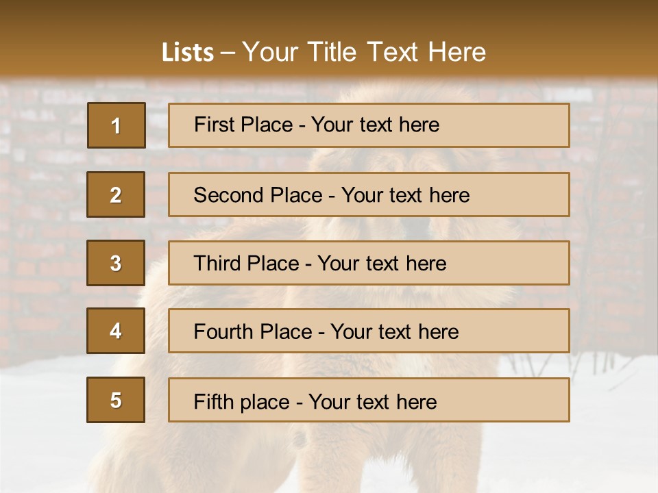 Agent Construction Construct PowerPoint Template