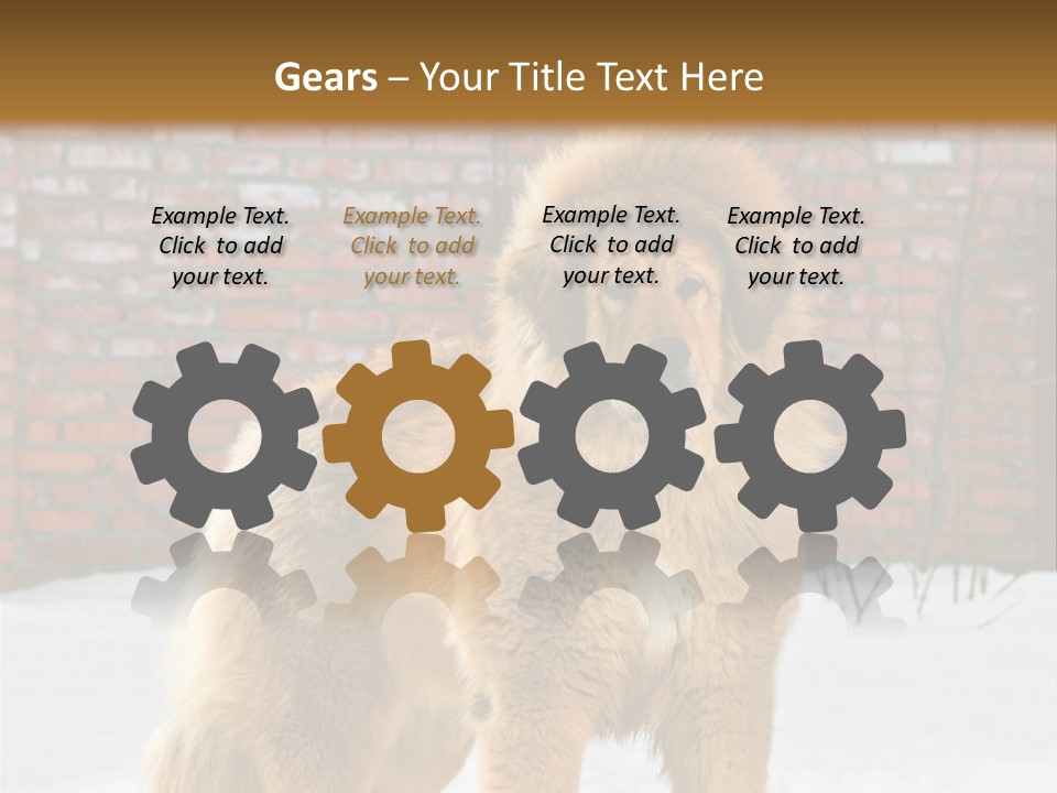 Agent Construction Construct PowerPoint Template