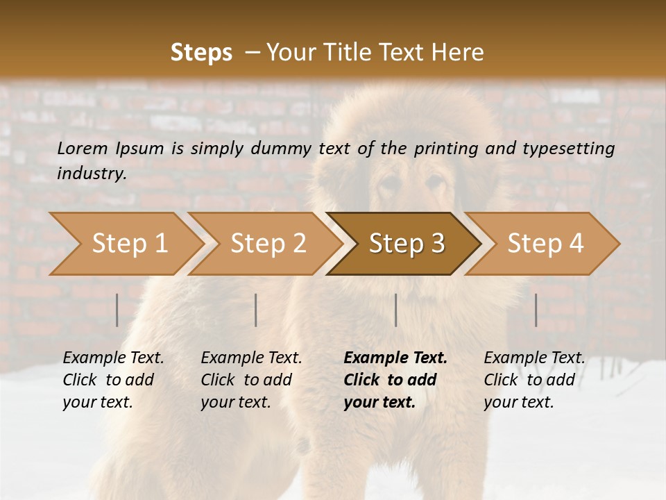 Agent Construction Construct PowerPoint Template