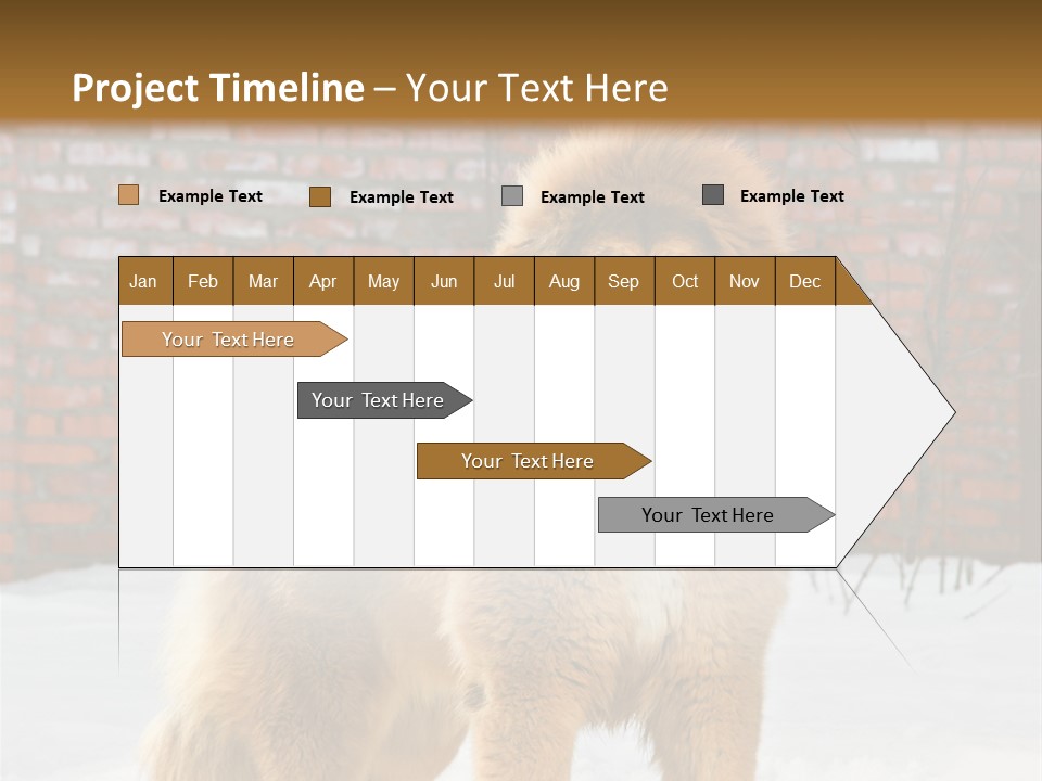 Agent Construction Construct PowerPoint Template