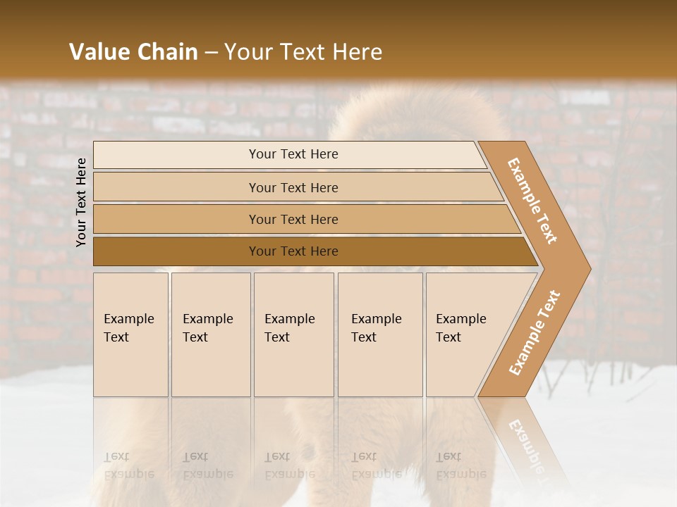 Agent Construction Construct PowerPoint Template