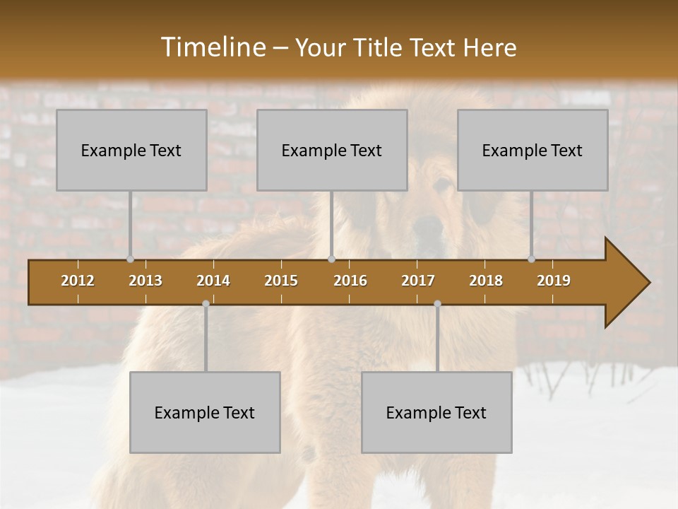 Agent Construction Construct PowerPoint Template