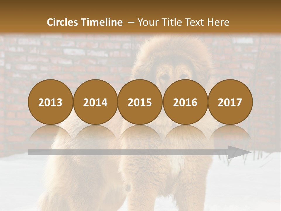 Agent Construction Construct PowerPoint Template