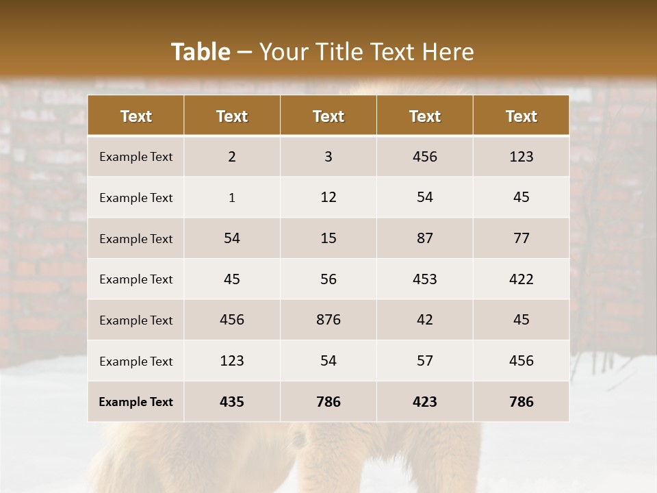 Agent Construction Construct PowerPoint Template