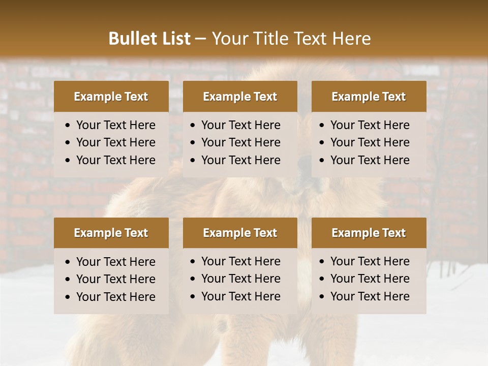 Agent Construction Construct PowerPoint Template