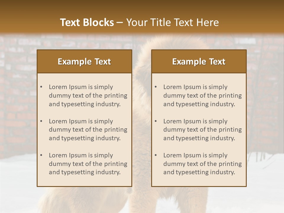 Agent Construction Construct PowerPoint Template