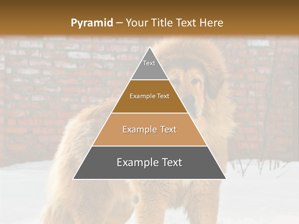 Agent Construction Construct PowerPoint Template